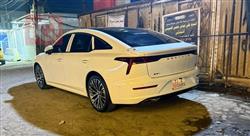 فاو بيستون B50